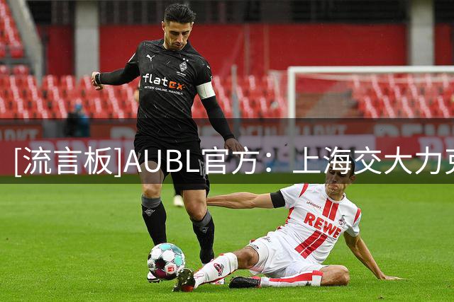 [流言板]AUBL官方：上海交大力克政治大学，夺得2026 AUBL总冠军